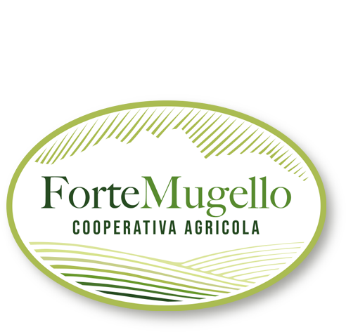 logo ForteMugello